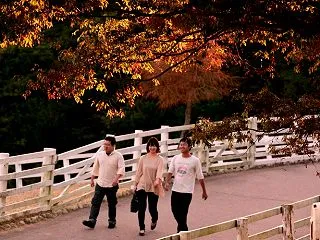 秋を ウォークする～♪