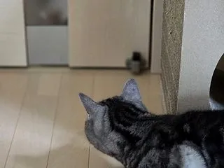 袋のつづき。