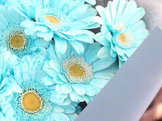 【宇宙からのメッセージ175】まず１歩踏…