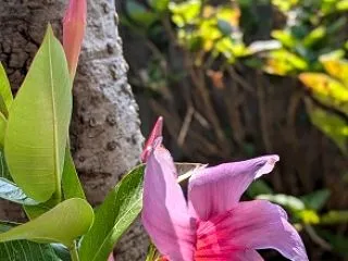 ベスト