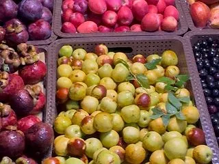 【張家界の食と薬膳】絶壁の珍味に驚き、息…