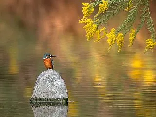 いつもの公園秋色に・・・