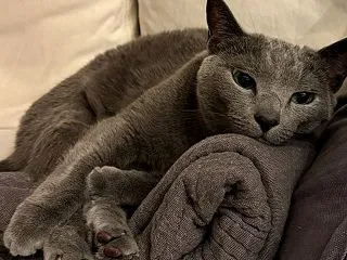 ちょっと自画自賛