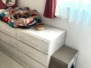行楽日和