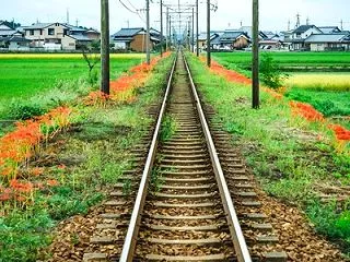 旅行に行きたいけど…不安