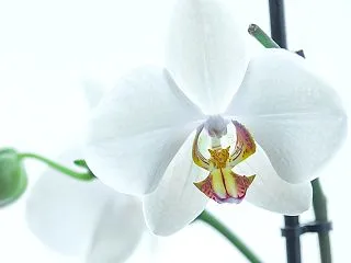 10月17日