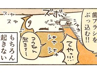 コウがこたつで寝た話