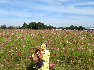 令和8年秋 愛犬と行く奈良県かしはら藤原…