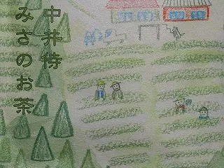 中井侍 みさのお茶
