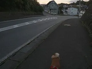 天気はいいが風が冷たい1日だった