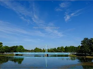 休日の水元公園