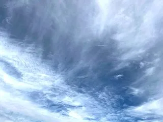 ありがとうございました