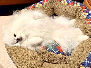 7倍というのは盛り過ぎだと思う