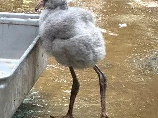 また来たいと思う 思い出 写真【ムスコと…