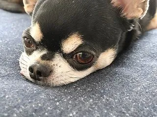いるのよ、ここに