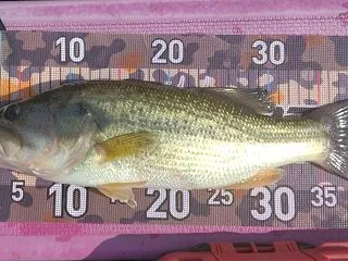 10/17(土)の状況
