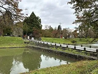 新庄城跡の見どころ！歴史・桜・アクセスを…