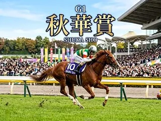 10月17日(土)結果☆秋華賞☆中央競馬…