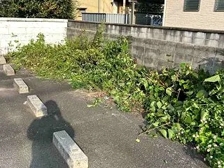 草刈り