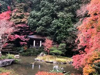 自学自習こそ最強。自分で学ぶことに気づい…