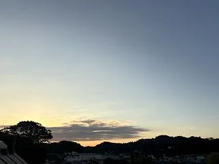 ペットは家族のようなものだが