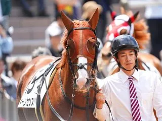 今週の出走愛馬 キーンセンス 京都 3歳…