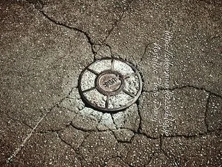 ひび割れるアスファルト。