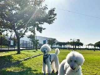 ラニ16歳になりました！そして…