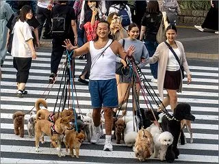 久しぶり～🐕 289/365 10月17…