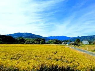 涼しい秋の風景に魅せられて