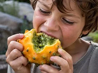 スイスで楽しめる秋の味覚と息子の創造性