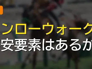 秋華賞モンローウォークの不安要素って何か…