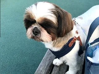 満面の笑みで