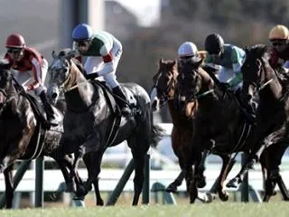 【朗報】競馬の払戻金、与党内で非課税論が…