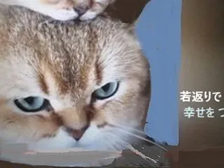◆目の下の たるみ原因と改善～動画 ◆募…