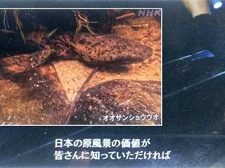 「原風景の価値 皆さんに知って」の到達点…