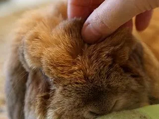 たくさんのコメントをありがとうございます…