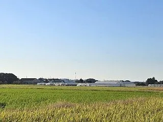 2026.10.17・・・土曜の朝の散歩…