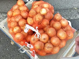 連休に岩田農園さんへ