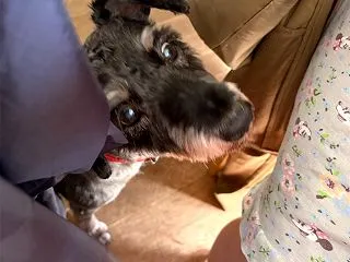 ふくすけ特集やっちゃうよ