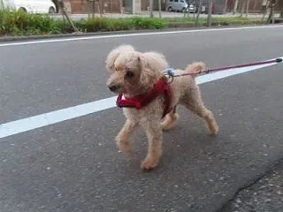 何でいつもと違うの？