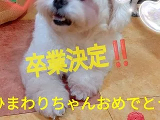 卒業決定しました‼️