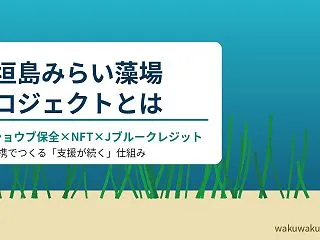 石垣島みらい藻場プロジェクトとは？ウミシ…