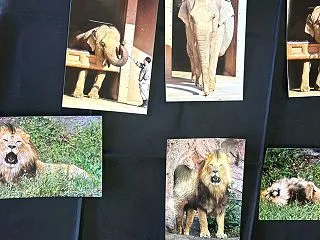 １０月の写真倶楽部