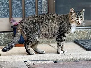 ネット銀行で引き出し
