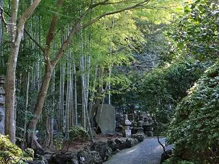 鎌倉散歩 報国寺