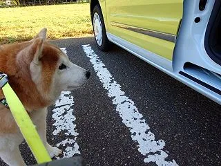 過ごしやすかった