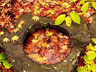 個人情報流出と見えない未来