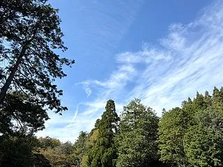 神嘗祭に虹色のハロ❗️