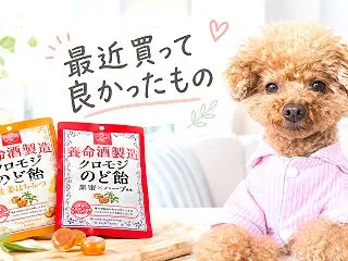 【最近買って良かったもの】カルディのお菓…